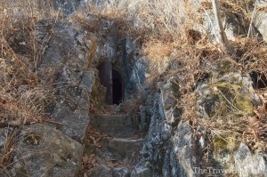 Екатериновского городища Палеодеревня