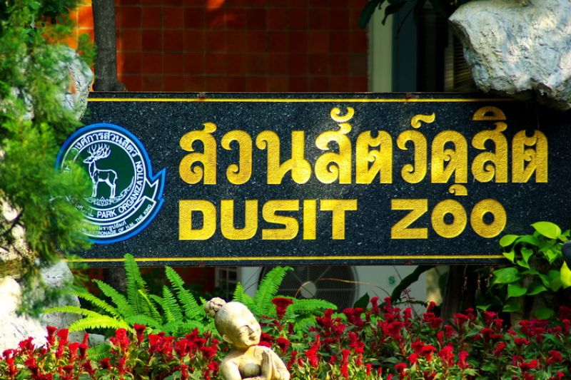 визитка зоопарка Дусит в Бангкоке
