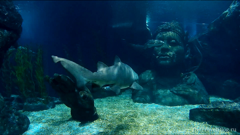 подводная скульптура